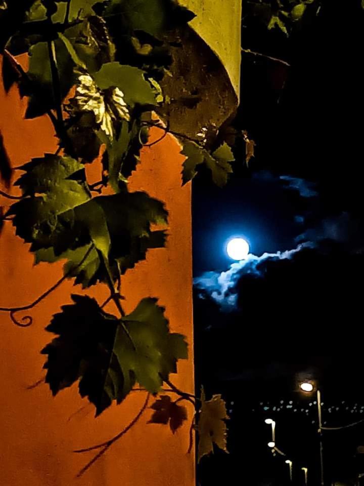B&B Vigna Grande Agropoli Kültér fotó